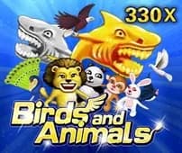 Birds and Animals JDB jackpot win at Citinow